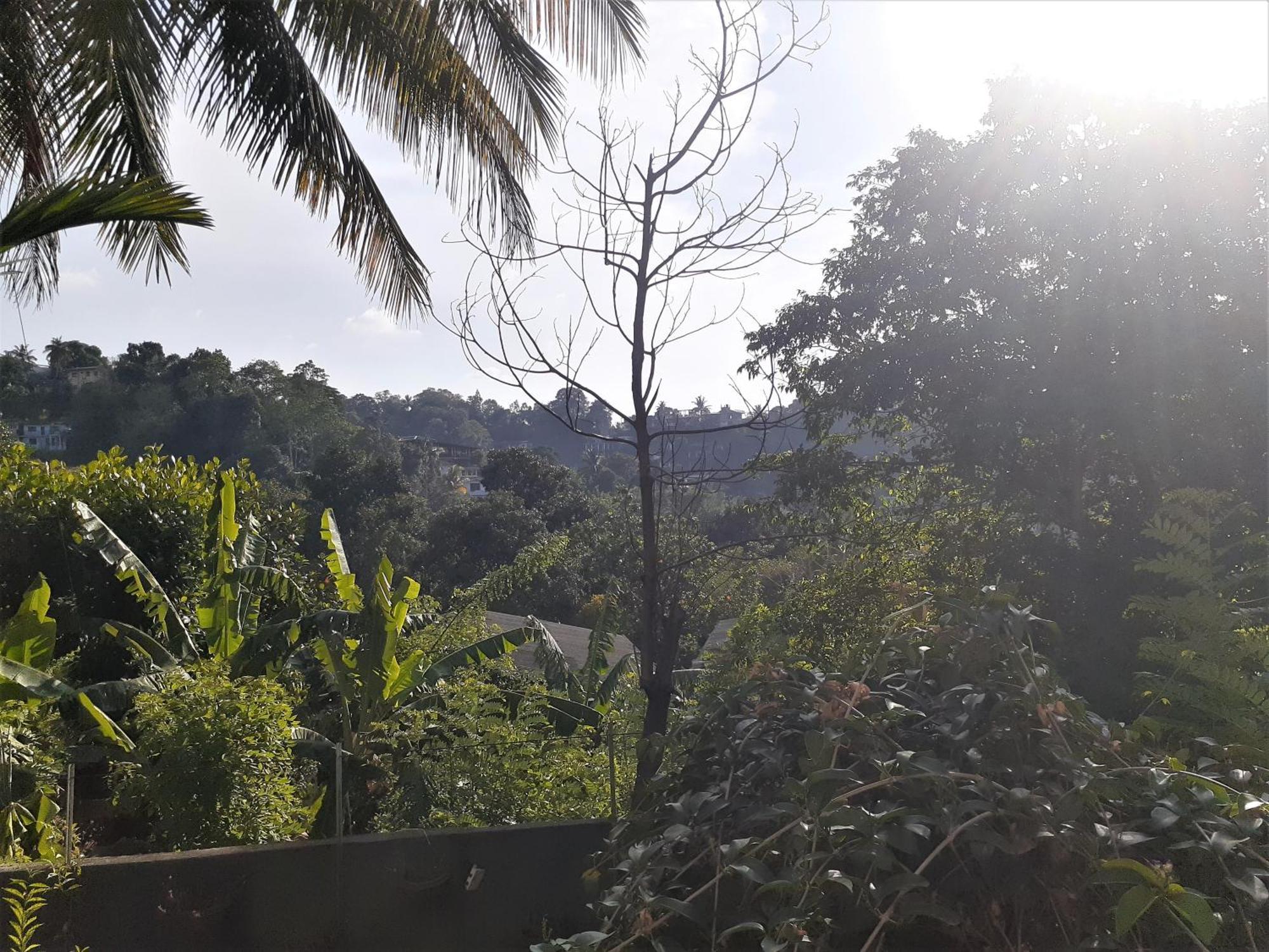 Kandy Mountain Cottage Extérieur photo