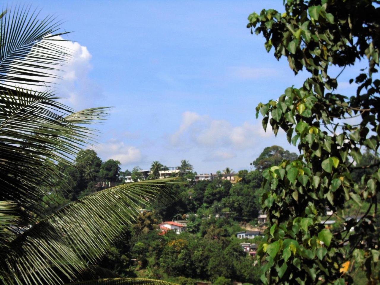 Kandy Mountain Cottage Extérieur photo