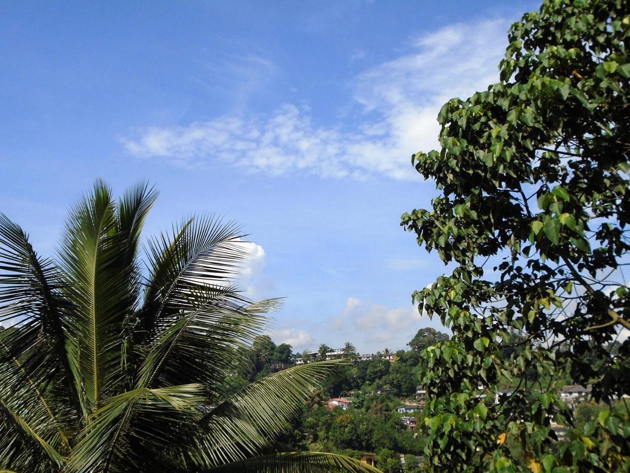 Kandy Mountain Cottage Extérieur photo